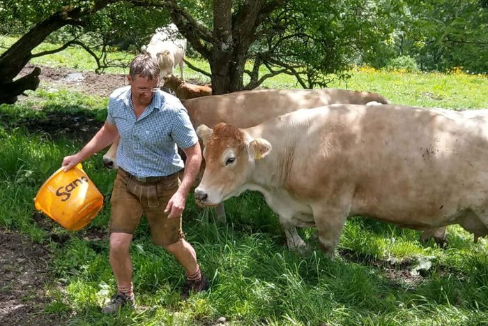 Murbodner Rind vom steirischen Bergbauern Moitzi - JOSHI - Ernährung ...